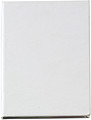 100 self-adhesive memos White