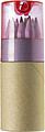 12 Colour pencils with sharpenerRed