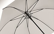 27 inch auto open wind-proof umbrella