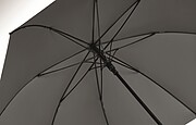 27 inch auto open wind-proof umbrella
