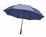 27 inch auto open wind-proof umbrella