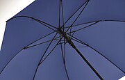 27 inch auto open wind-proof umbrella