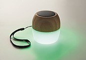 5.0 wireless bamboo speaker