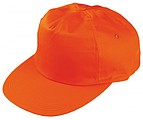 5 panel cap 