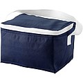 6 can cooler bag navy