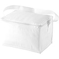 6 can cooler bag white