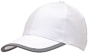 6 panel cap 