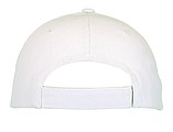 6 panel sandwich cap 