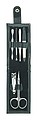 6 piece manicure set 