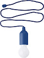 ABS pull light.