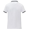 Amarago short sleeve womens tipping polo