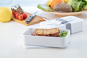 antibacterial lunch box