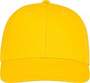 Ares 6 panel cap