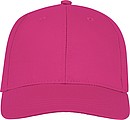Ares 6 panel cap