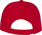 Ares 6 panel cap