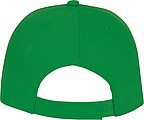 Ares 6 panel cap