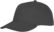 Ares 6 panel cap