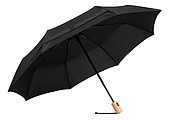 Auto.open/close umbrella