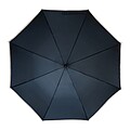 Automatic stick umbrella, blue