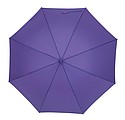 Automatic umbrella 