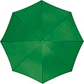 Automatic umbrella, plastic handle, green
