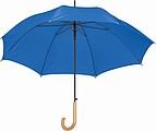 Automatic umbrella