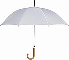Automatic umbrella