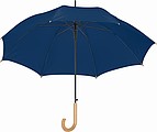 Automatic umbrella