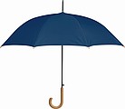 Automatic umbrella