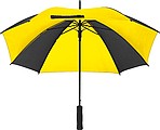 Automatic Umbrella