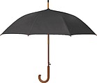 Automatic Umbrella