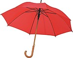 Automatic Umbrella