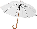 Automatic Umbrella