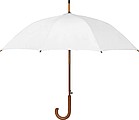 Automatic Umbrella