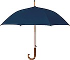 Automatic Umbrella