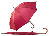 automatic umbrella