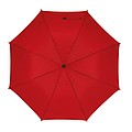 Automatic wooden stick umbrella 