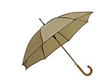 Automatic wooden stick umbrella 