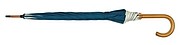 Automatic wooden stick umbrella with colour-matching piping,colour navy blue, beige
