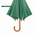 Automatic woodens umbrella, green