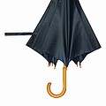 Automatic woodens umbrella, navy