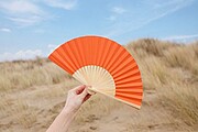 Bamboo hand held fan Elio