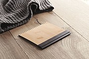 Bamboo ice scraper