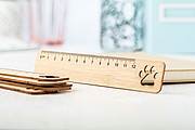 bamboo ruler, paw
