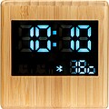 Bamboo speaker