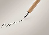 Bamboo twist type ball pen