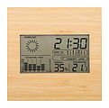 bamboo weather station