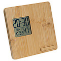 Bamboo weather station