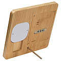 Bamboo weather station