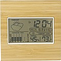 Bamboo weather station